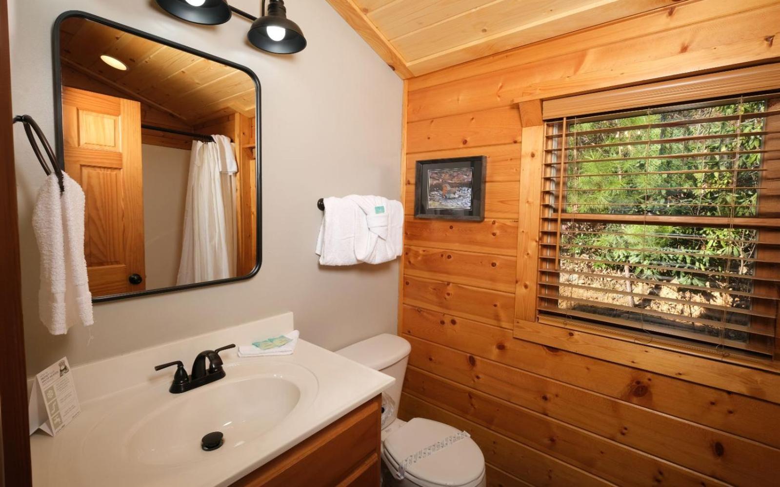 The Song Bird Villa Gatlinburg Exterior photo